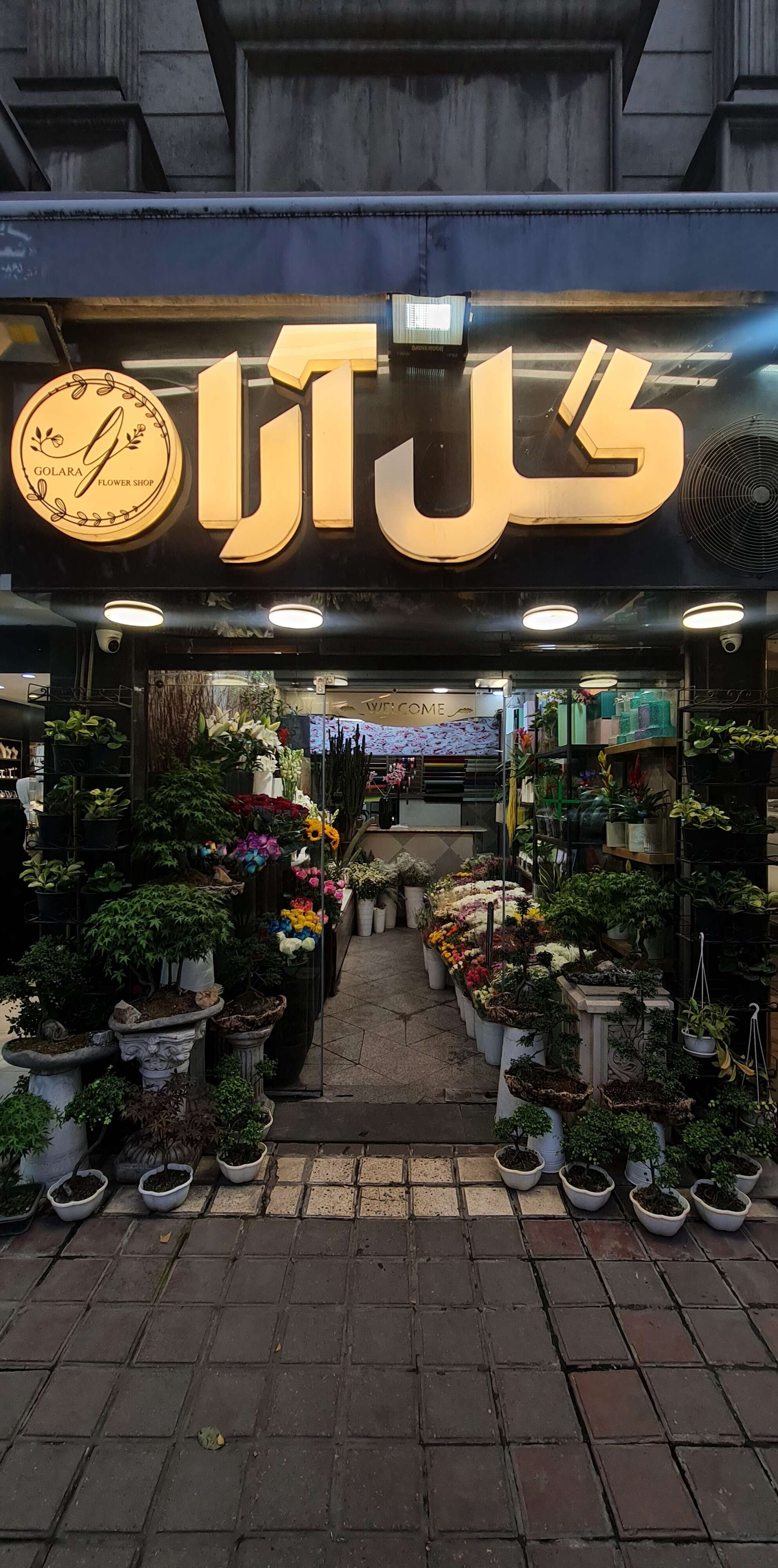 گل آرا