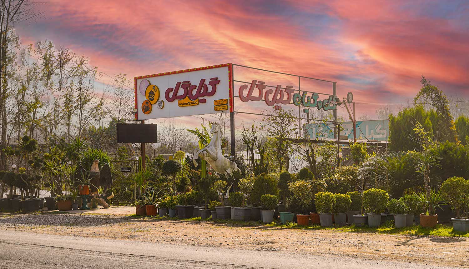 محوطه سازان گیل گل