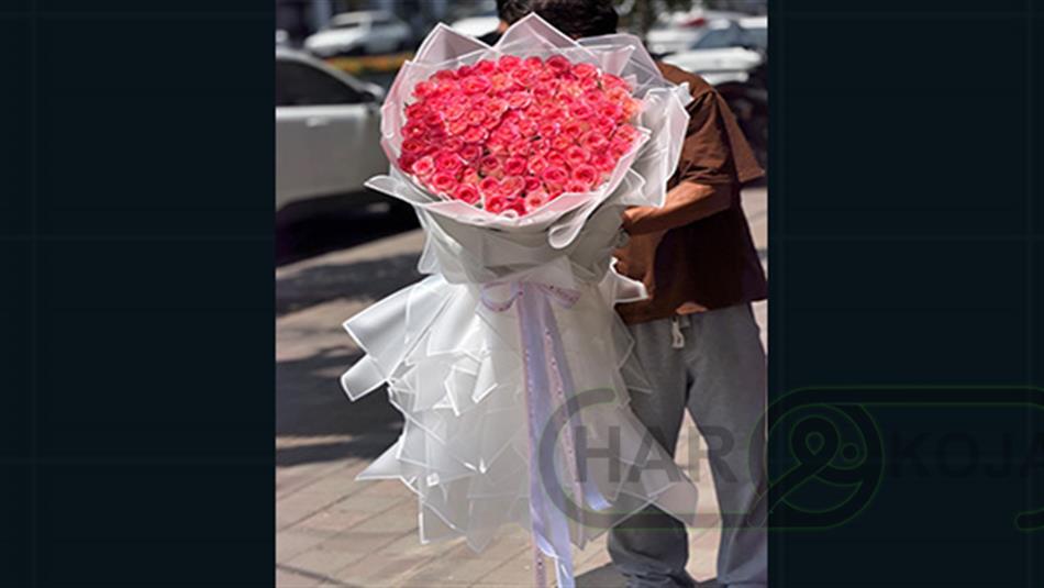 گل‌ نوا - تصویر 14