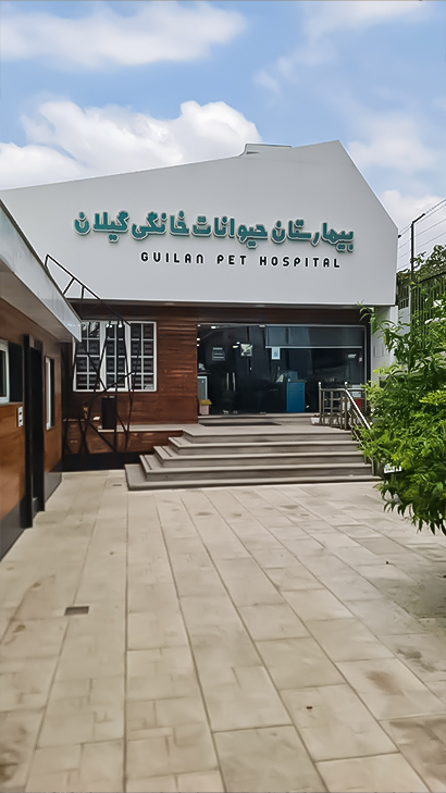 بیمارستان حیوانات خانگی گیلان