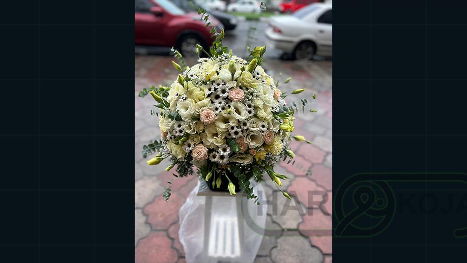 گل وطن آبادی - تصویر 4