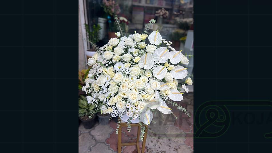 گل وطن آبادی - تصویر 2
