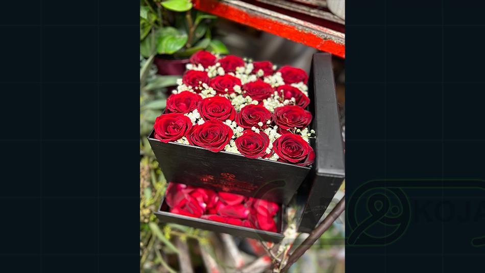 گل وطن آبادی - تصویر 8