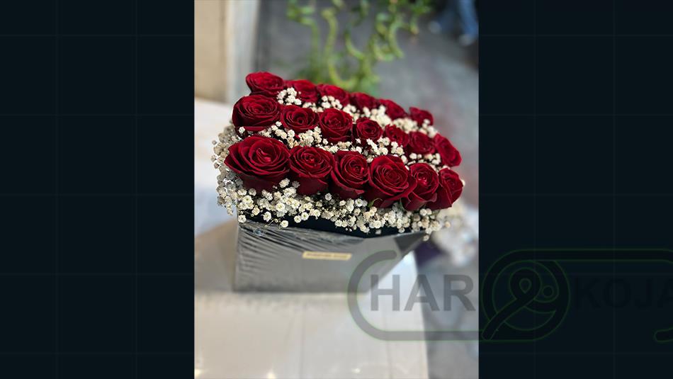 گل وطن آبادی - تصویر 10