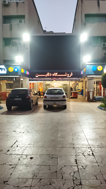 فروشگاه دلفین